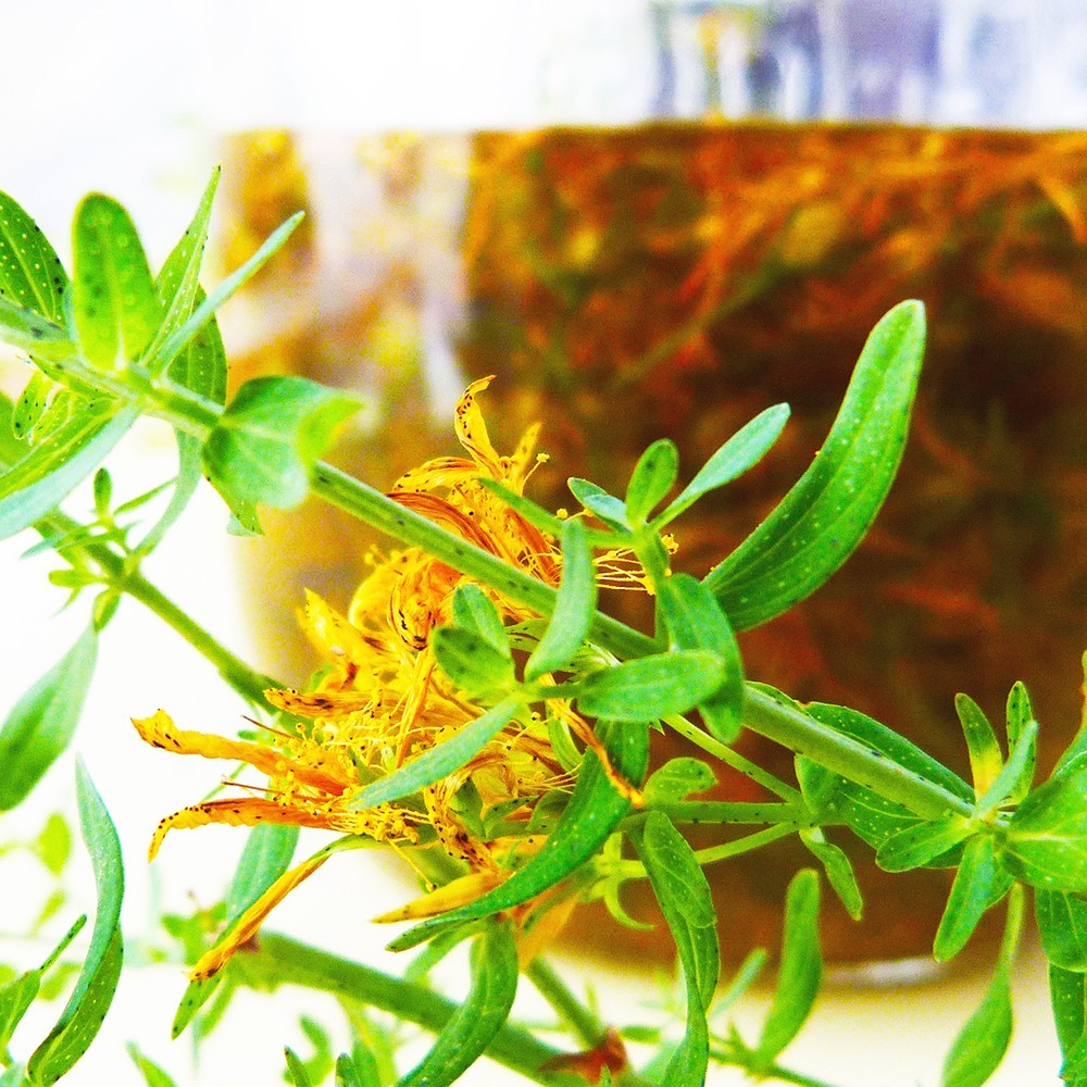 St. John's Wort Bath