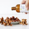 Our organic virgin hazelnut oil for combination to oily skin