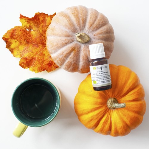 Deze aromatische grog is helemaal bio en vergezelt u het hele jaar!