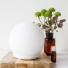 Diffuseur d'huiles essentielles en verre