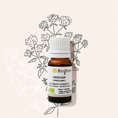 Organic Oregano Essential Oil