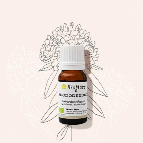 Organic Rhododendron essential oil for meditation