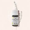 Organic Spanish linalool thyme for to ease breathing