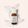 L'essence de benjoin bio en dilution L'essence de benjoin bio en dilution
