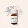 Organic wild carrot essential oil