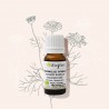 Our organic Roman Chamomile essential oil to soothe the skin
