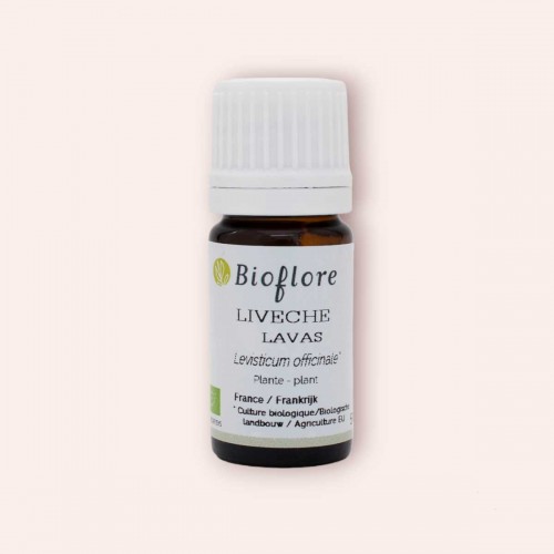 Organic lovage essential oil to regenerate the liver