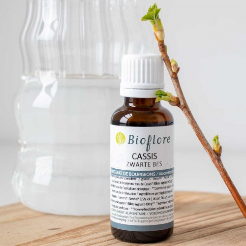 Macérat de bourgeons de Cassis Bio - Bioflore