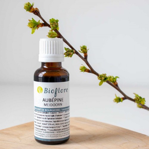 Macérat de bourgeons d’Aubépine BIO - Bioflore