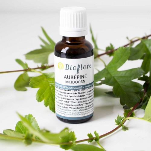 Meidoornknop maceraat biologisch