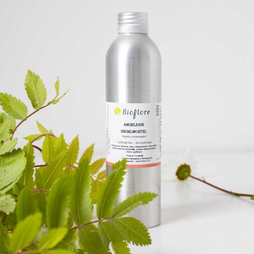 Hydrolat d’Angélique Bio – Bioflore
