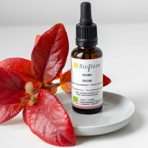 Organic plum vegetable oil, radiance and nutrition for dry skin