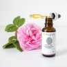 Organic May Rose sun macerate in jojoba oil Organic May Rose sun macerate in jojoba oil