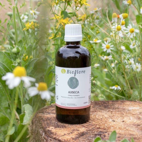 Organic Arnica oily macerate, soothing and repairing for the muscles