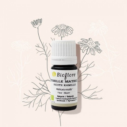 L'huile essentielle de camomille matricaire bio calmante, équilibrante