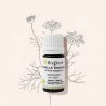 L'huile essentielle de camomille matricaire bio calmante, équilibrante L'huile essentielle de camomille matricaire bio calmante, équilibrante