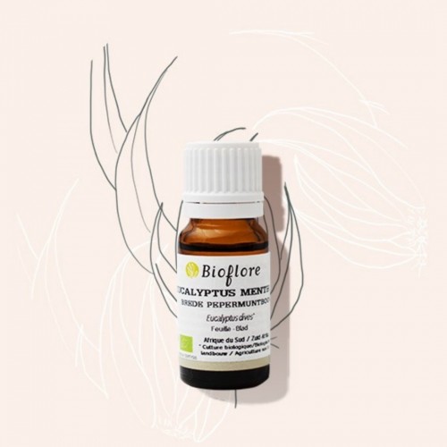 Organic Broad-Leaved Peppermint essential oil for breathing