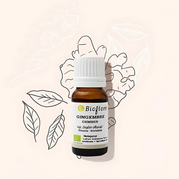 L'huile essentielle de gingembre bio tonique et aphrodisiaque