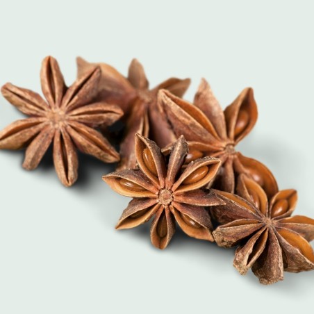 Geniet van aroma van anijs met onze bio etherische olie van steranijs