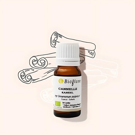 L'huile essentielle de cannelle de Ceylan bio stimulante et purifiante