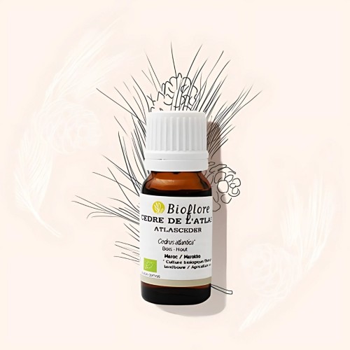 Our organic Atlas Cedar essential oil against cellulite
