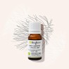 Organic Laricio pine essential oil helps to stop smoking