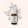 Olibanum or frankincense essential oil supports the respiratory system