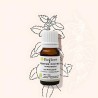 Organic peppermint essential oil to soothe headaches