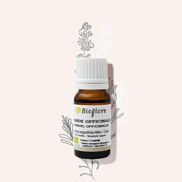 L'huile essentielle de Lavande officinale bio, douce et calmante