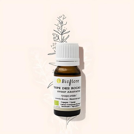 Bio etherische olie van Hyssop Aristatus: voor gezonde luchtwegen.