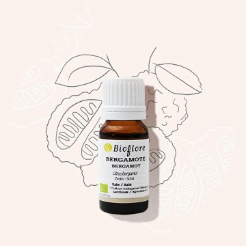 Organic bergamot essential oil soothes, motivates and strengthens Organic bergamot essential oil soothes, motivates and strengthens
