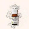 Organic mastic thyme essential oil Organic mastic thyme essential oil