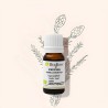 Hemlock essential oil against respiratory diseases