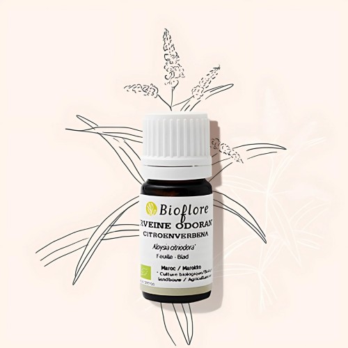Organic lemon verbena essential oil is anti-inflammatory