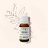 Organic decongestant mastic oil