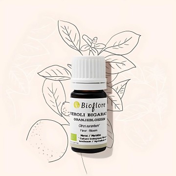 L'huile essentielle de Neroli bigarade bio un antistress confirmé L'huile essentielle de Neroli bigarade bio un antistress confirmé