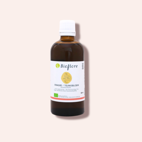 Organic virgin evening primrose oil, the feminine oil par excellence!