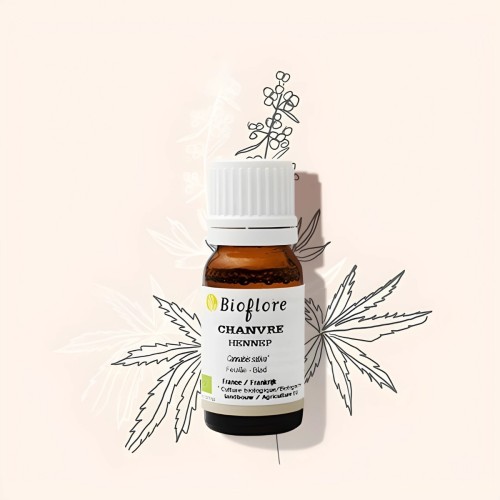 Hemp (cannabis sativa) Organic essential oil