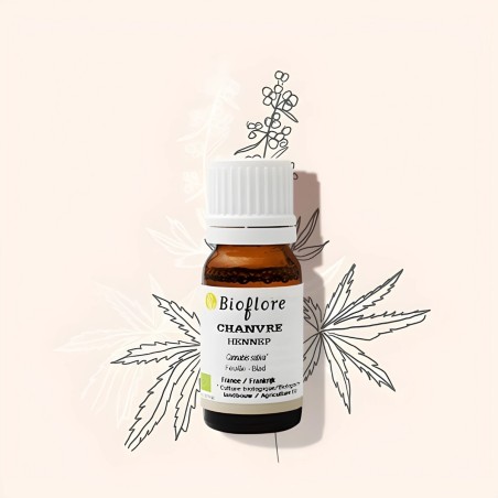 Hemp (cannabis sativa) Organic essential oil