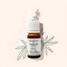 Hemp (cannabis sativa) Organic essential oil