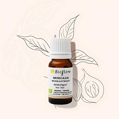 Nutmeg essential oil helps to rebalance the intestinal flora