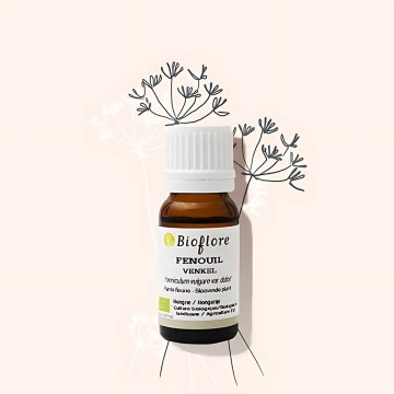 fenouil doux bio certisys fenouil doux bio certisys