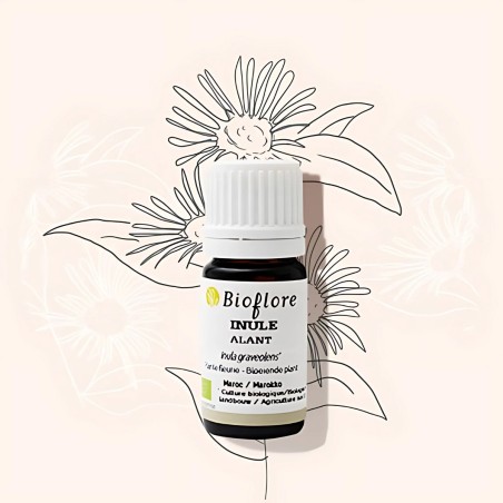 Fragrant inula essential oil relieves respiratory tract