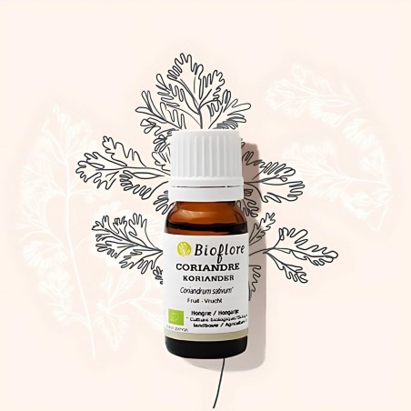 Blijf het hele jaar in vorm met de essentiële olie van bio koriander!