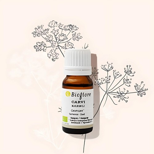 Organic caraway essential oil to prevent bloating and gas