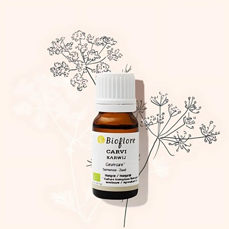 Organic caraway essential oil to prevent bloating and gas