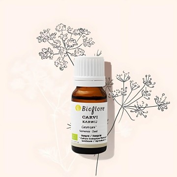 Organic caraway essential oil to prevent bloating and gas