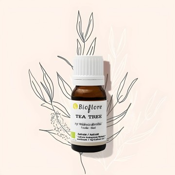 Bio etherische olie van Tea Tree : anti-bacterieel en ontsmettend!