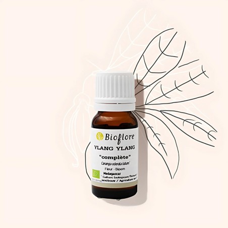 Organic ylang-ylang essential oil balances the nervous system