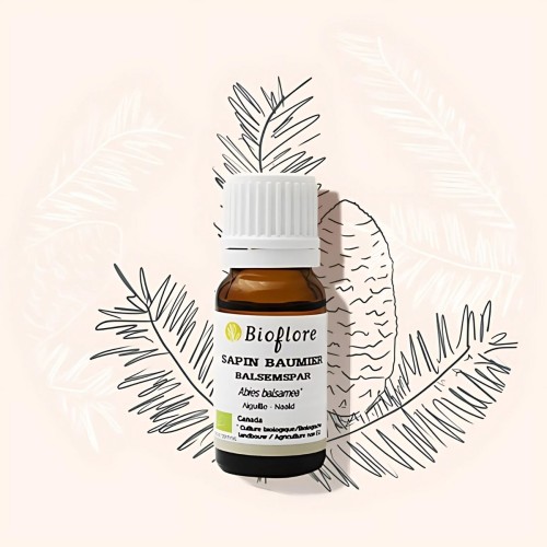 Organic balsam fir essential oil oxygenates and sanitizes